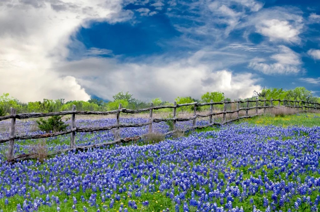 Types_of_Graduated_ND_Filters.jpg