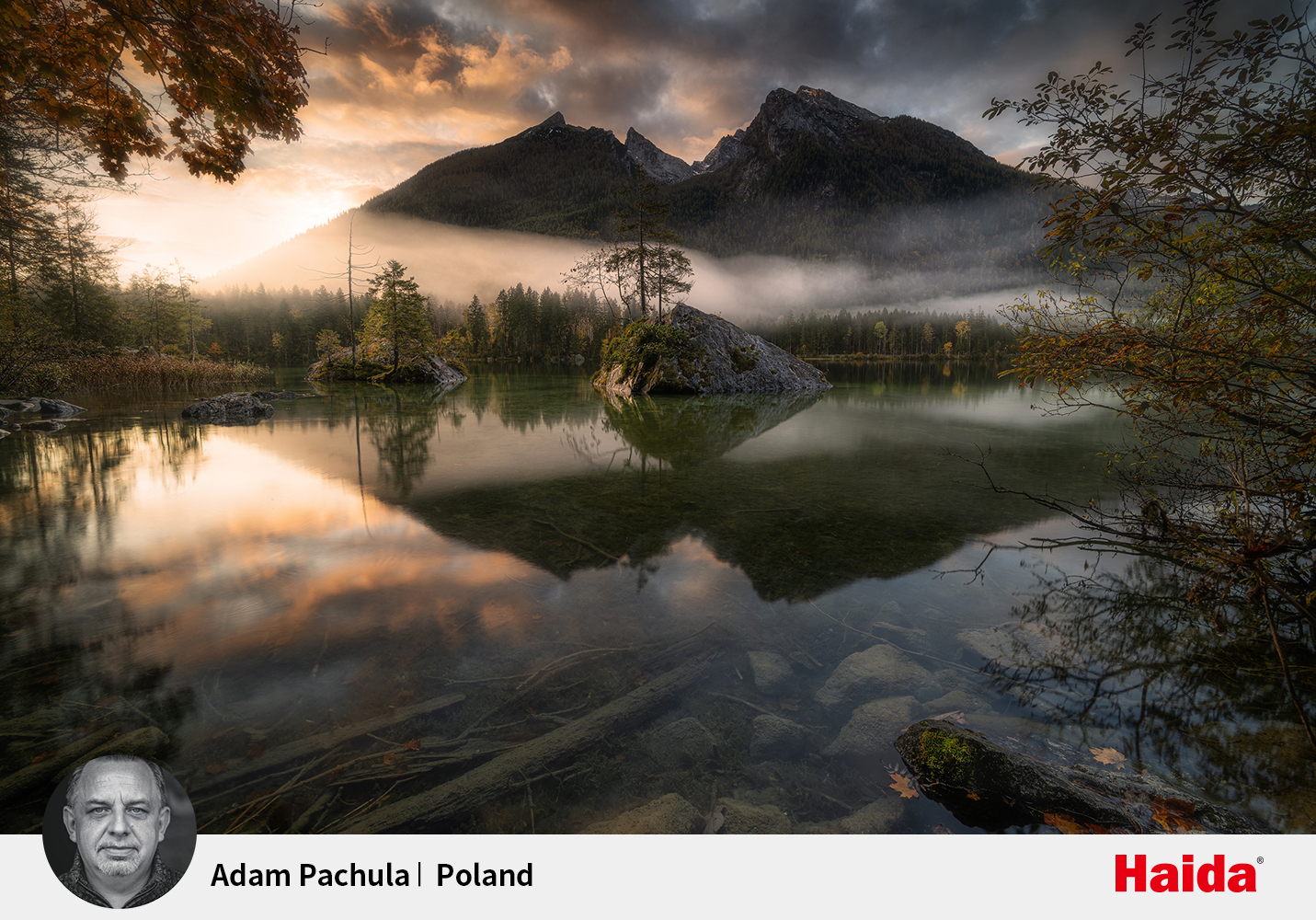 横版-Adam-Pachula.jpg