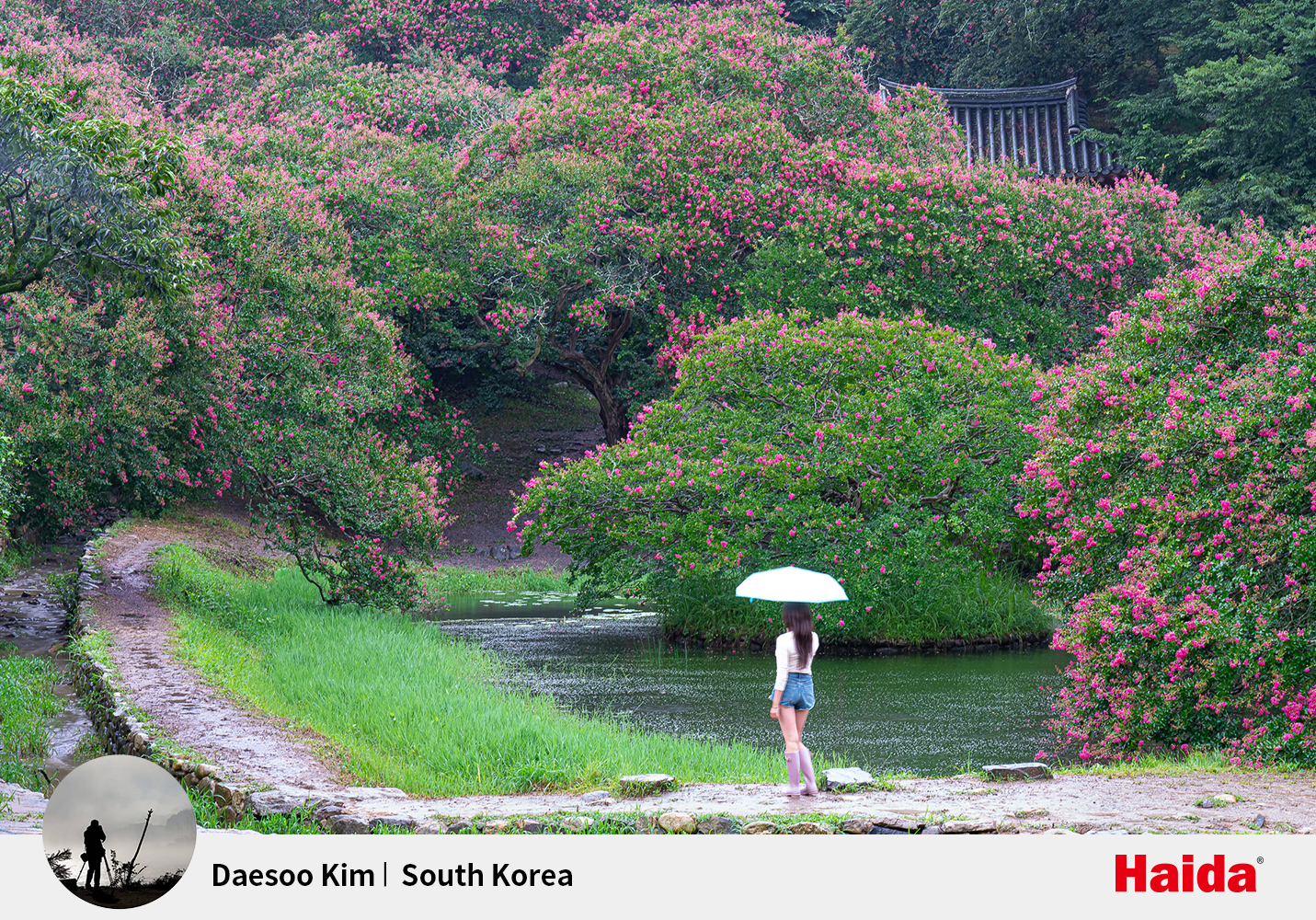 横版-Daesoo-Kim.jpg